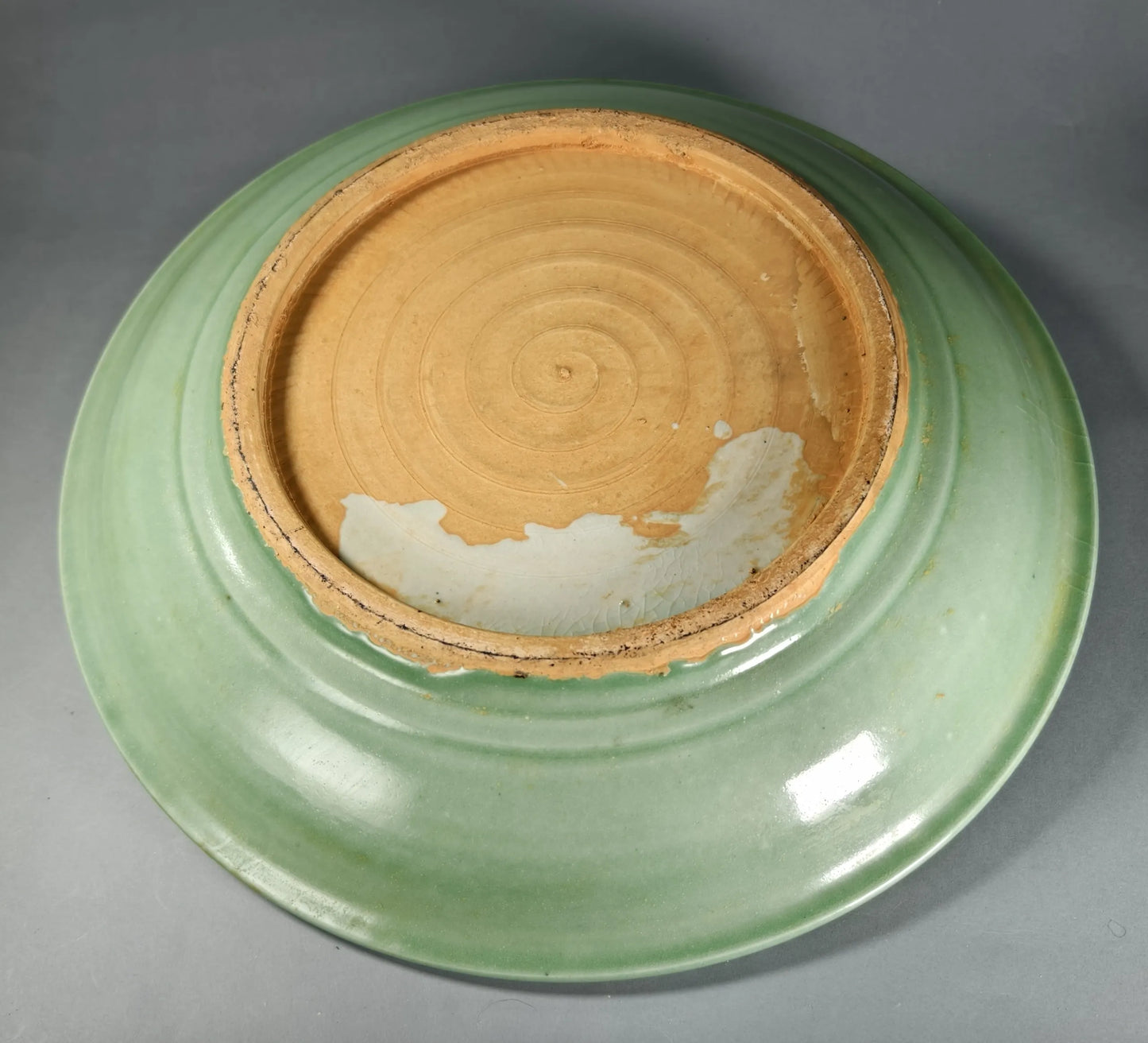 Großer Celadon-Charger mit Blattrand
